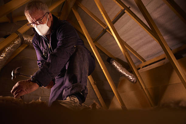 Best Insulation Maintenance and Repair in Loogootee, IN