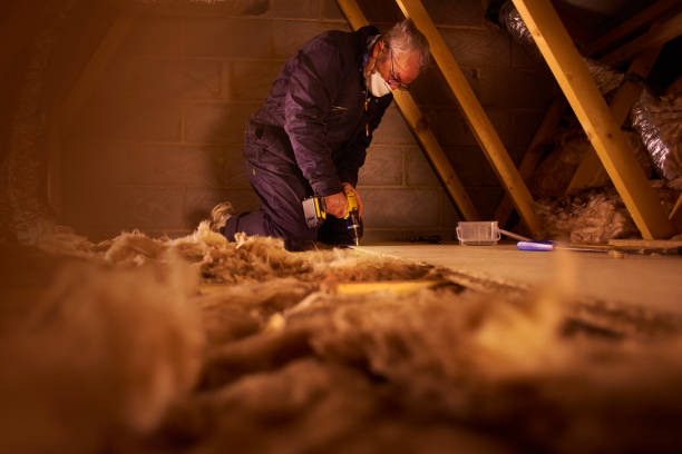 Best Specialized Insulation Services in Loogootee, IN